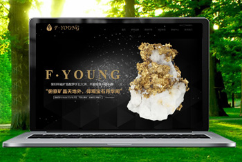 ���Ǹ������ﱦʯ